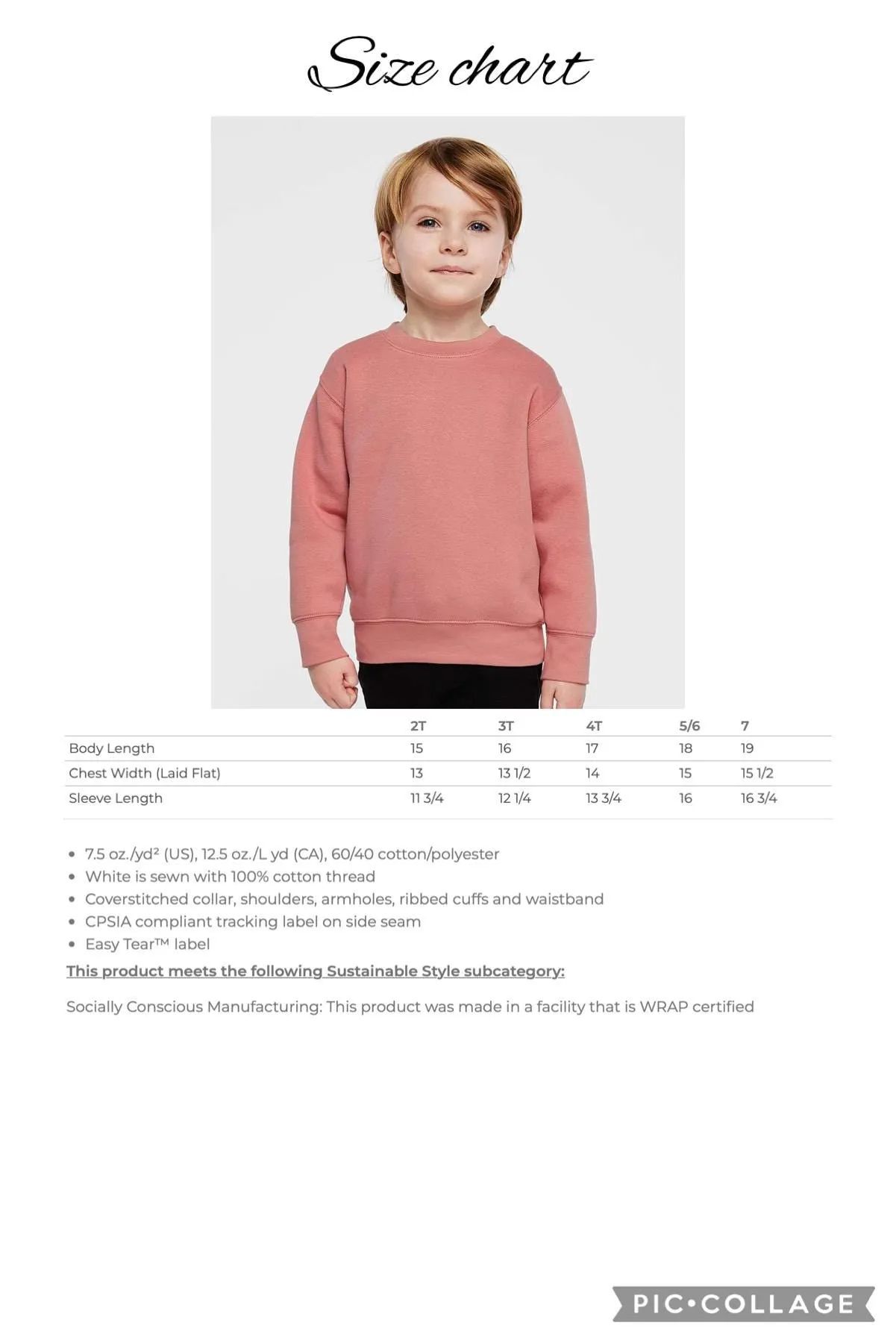 Dino Thanksgiving Sweatshirt For Kids
