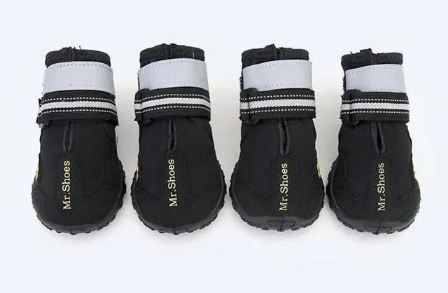 Hiking Shoes