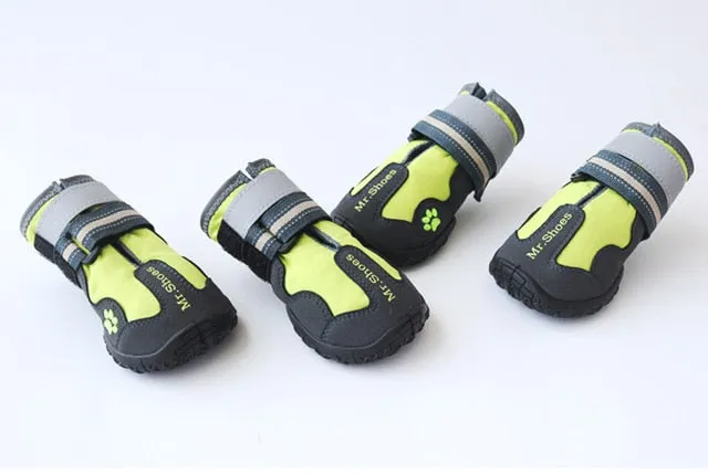 Hiking Shoes