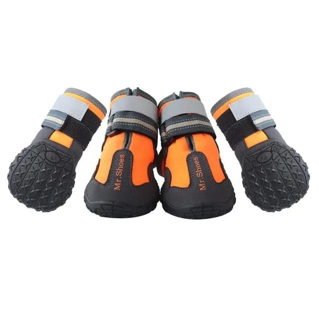 Hiking Shoes