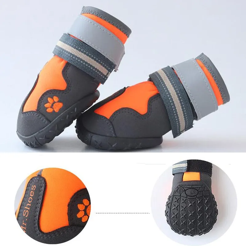 Hiking Shoes